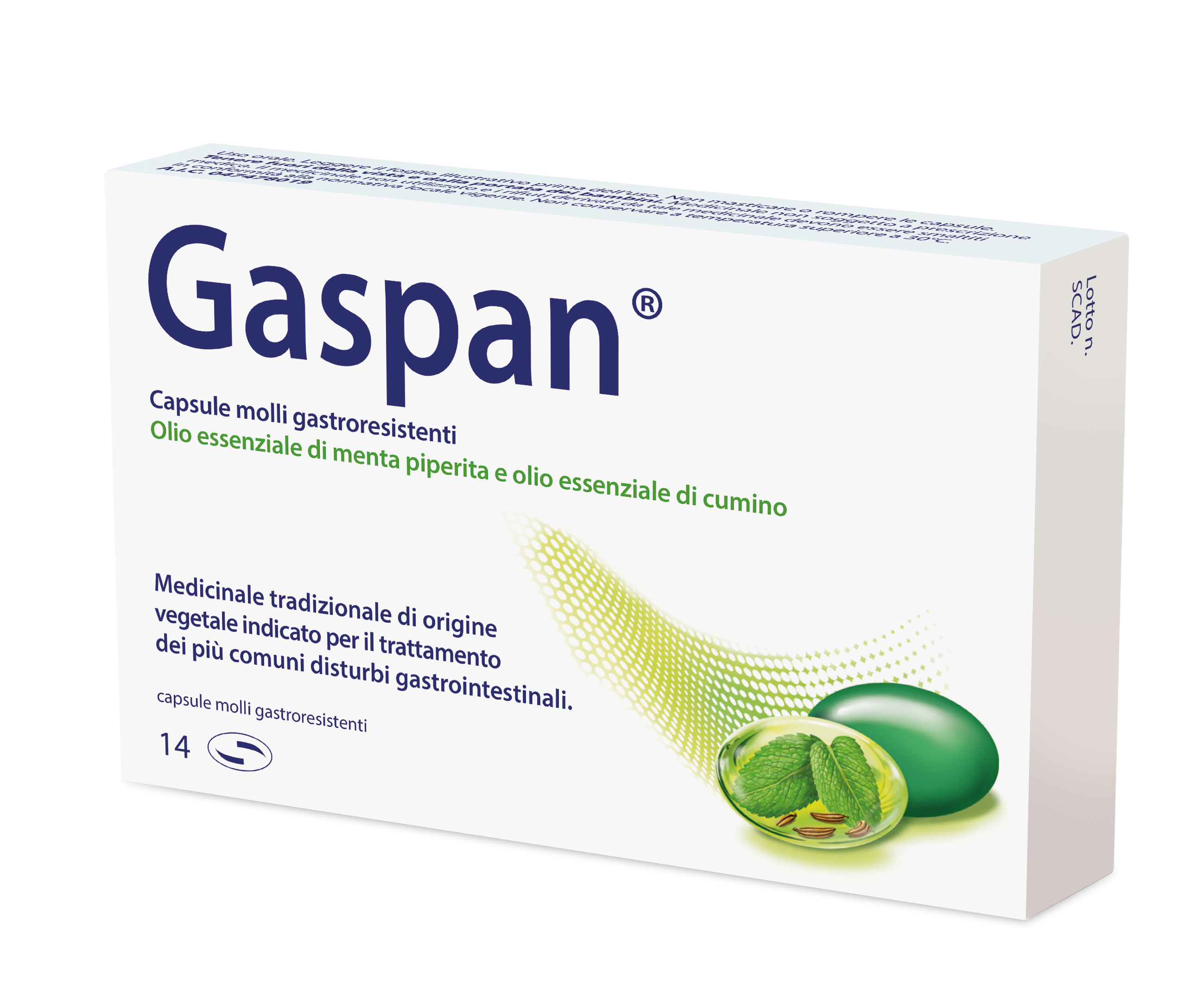 Gaspan Trattamento Disturbi Intestinali 14 Capsule Molli