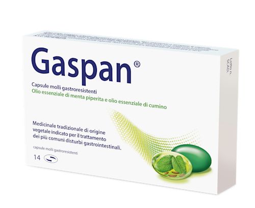 047478019 - Gaspan Trattamento disturbi intestinali 14 capsule molli - 0005101_2.jpg