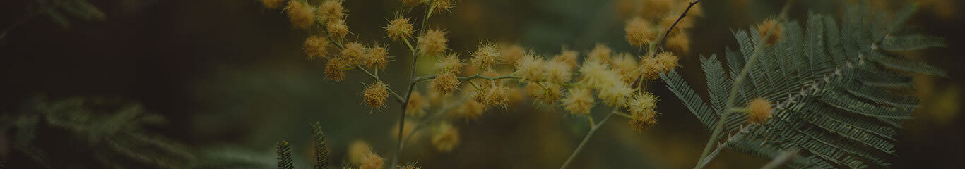 Magazine | Festa della Donna su Top Farmacia: celebriamo tutte le donne