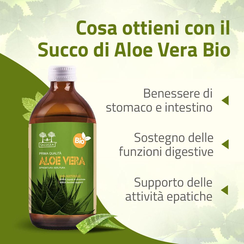 982000616 - SALUGEA SUCCO ALOE VERA BIO 500 ML - 4738121_6.jpg
