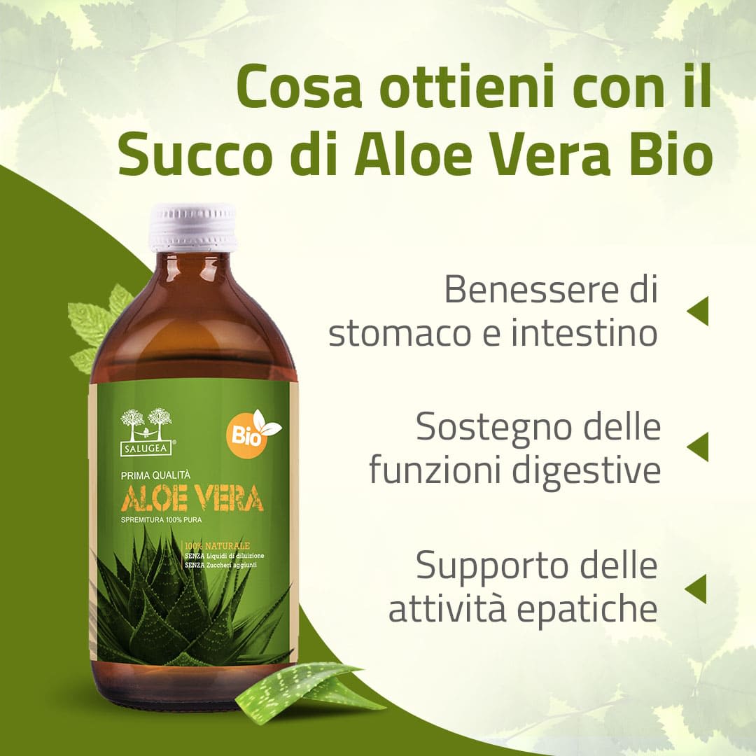 982000616 - SALUGEA SUCCO ALOE VERA BIO 500 ML - 4738121_6.jpg
