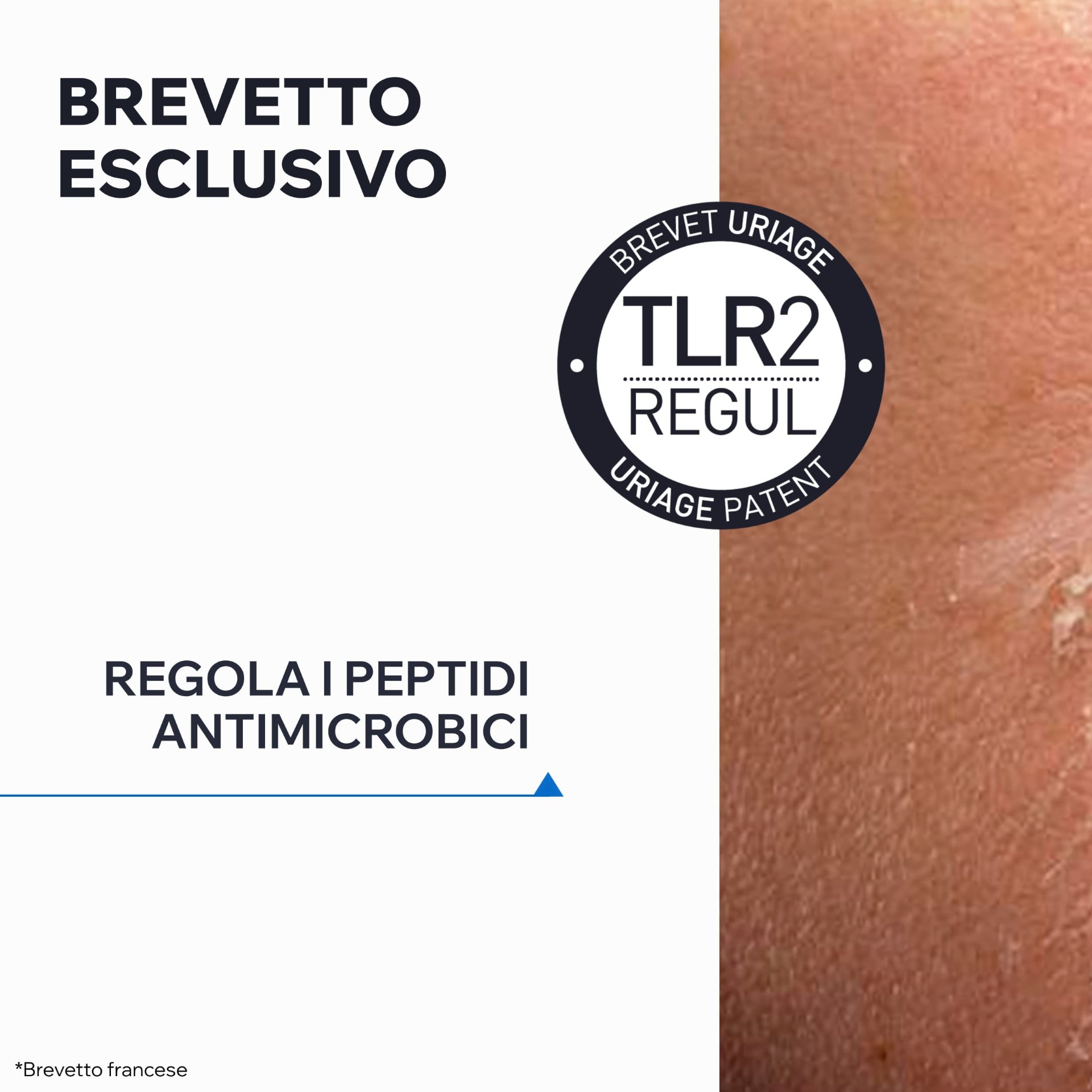 image - 983706502 -  - 4740079_10.jpg