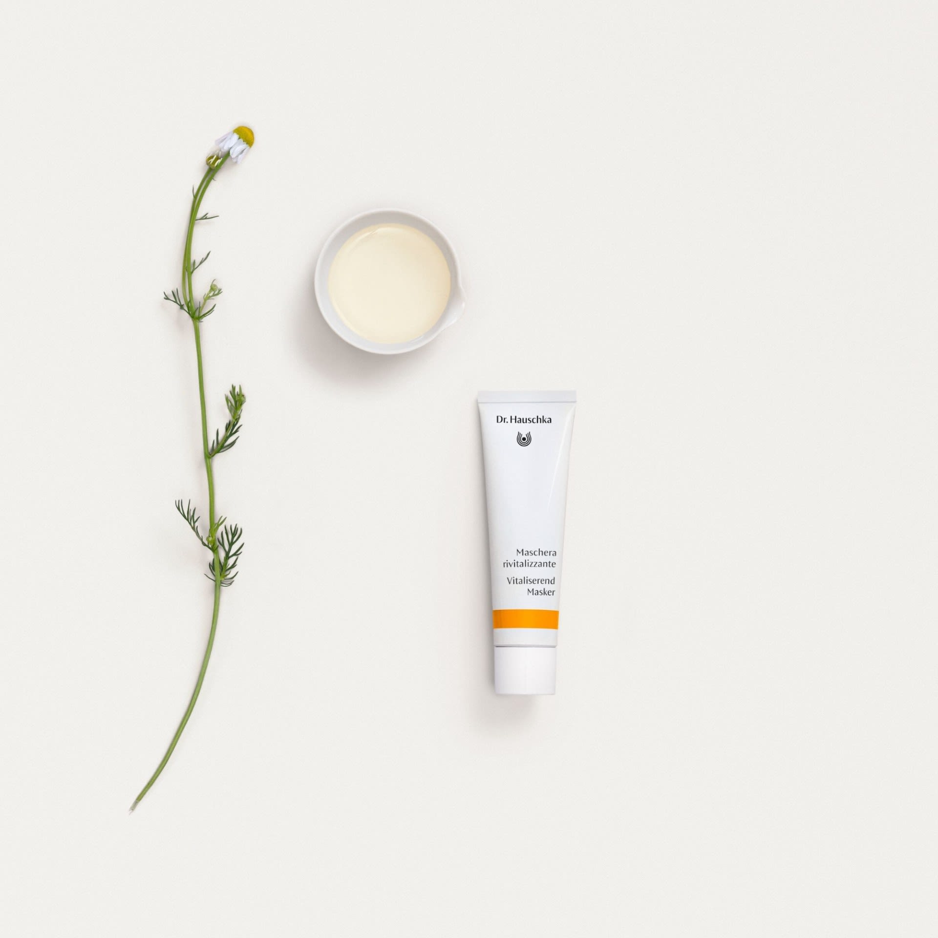 image - 934296777 - DR HAUSCHKA MASCHERA RIVIT 30ML - 4723055_6.jpg