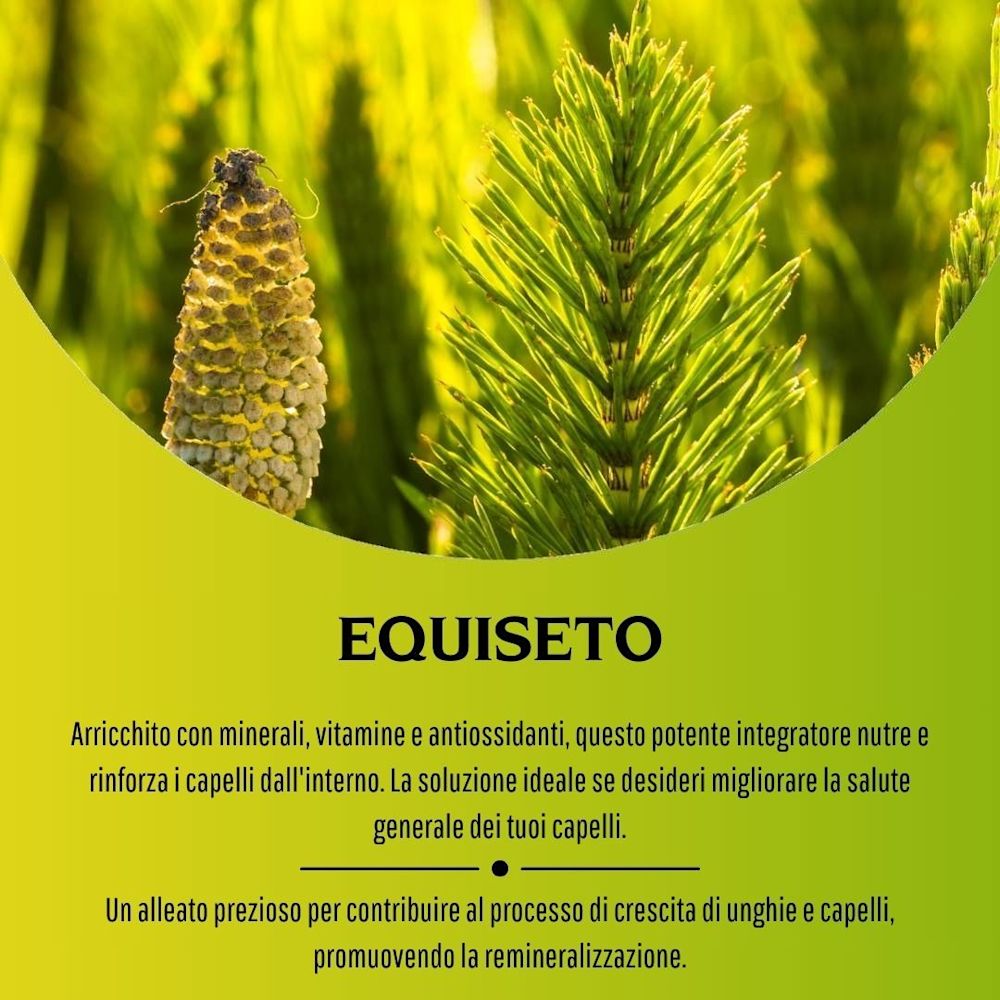 902193123 - EQUISETO 100 CAPSULE 380MG - 4713517_9.jpg