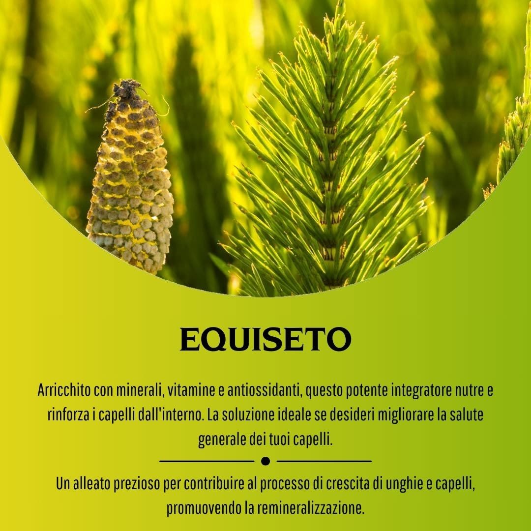 image - 902193123 - EQUISETO 100 CAPSULE 380MG - 4713517_9.jpg