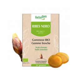 977709132 - Herbalgem Caramelle Gommose Bio Ribes Nero 24 pezzi - 4734196_1.jpg