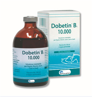 image - 101009013 - DOBETIN B1*INIET soluz 1 flacone 100 ml 1 mg/ml + 100 mg/ml - 7888373_1.png