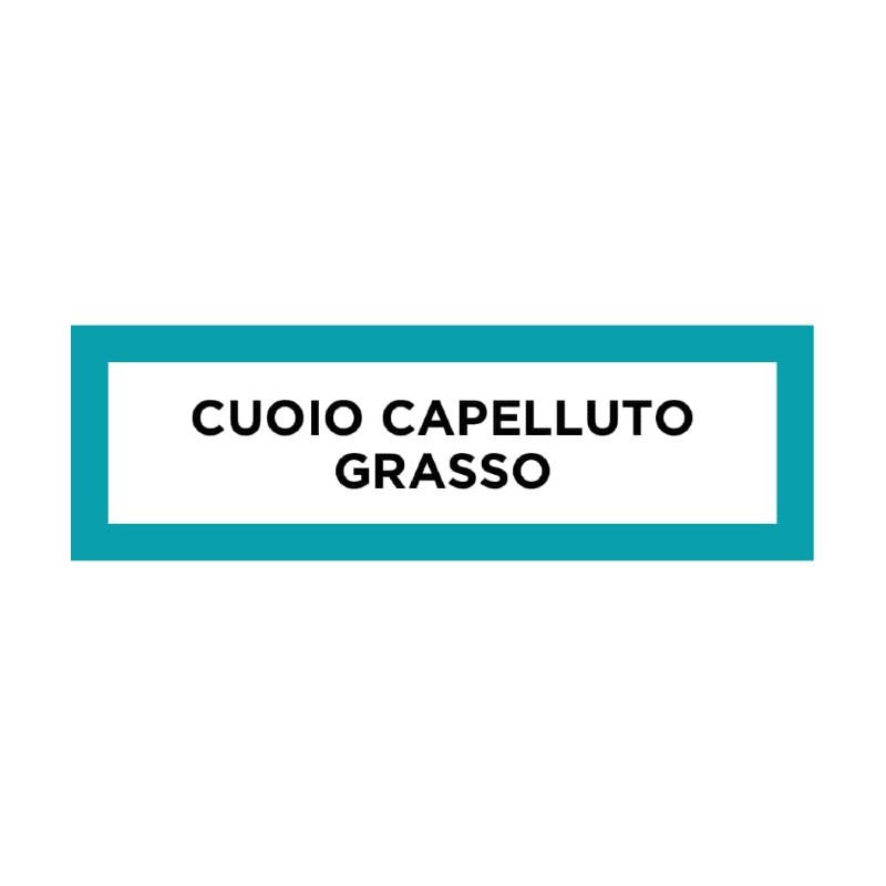 976318206 - Phyto Phytocedrat Shampoo Purificante Sebo Regolatore Capelli Grassi 250ml - 4703950_3.jpg