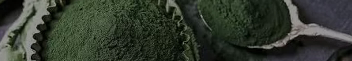image - Magazine | Chlorella Vulgaris: rigenerazione della pelle, al naturale