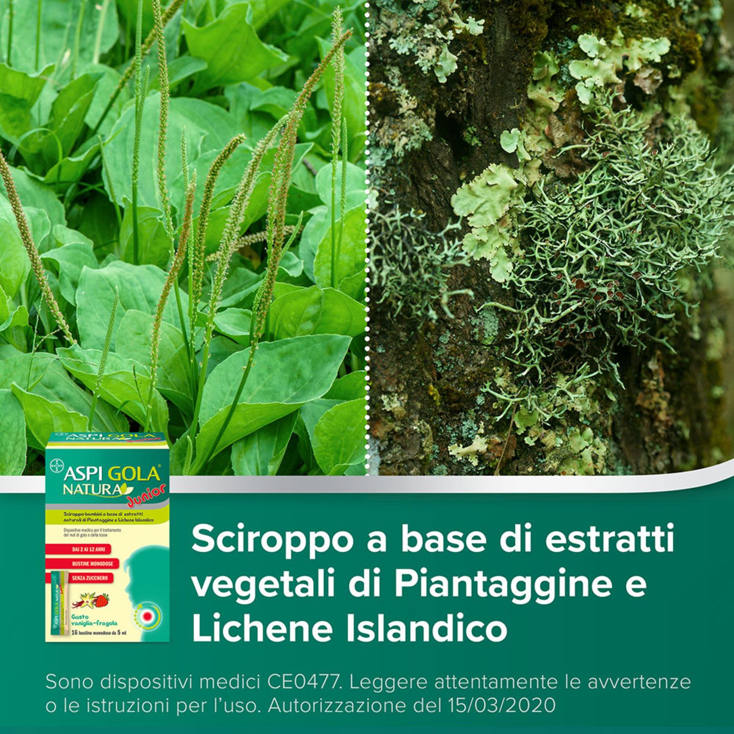 980772065 - ASPI GOLA NATURA JUNIOR 16 BUSTINE MONODOSE DA 5 ML - 4707911_2.jpg