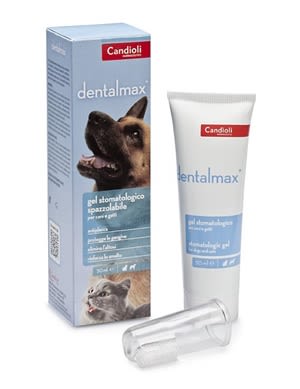 904057243 - DENTALMAX GEL STOMATOLOGICO 50 ML - 7888805_1.jpg