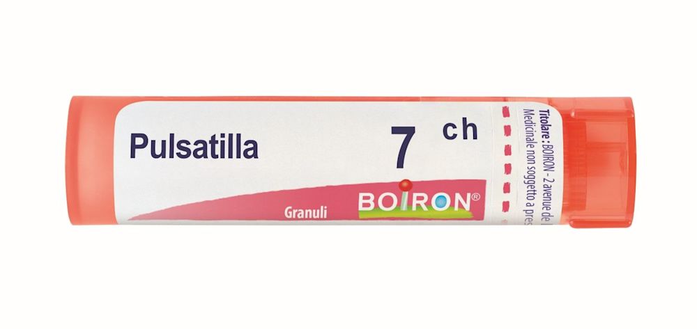 046477067 - Boiron Pulsatilla 7ch 80gr - 0001209_1.jpg