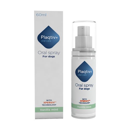 984635401 - PLAQTIV+ ORAL CARE SPRAY ORALE 60 ML - 0006537_1.jpg