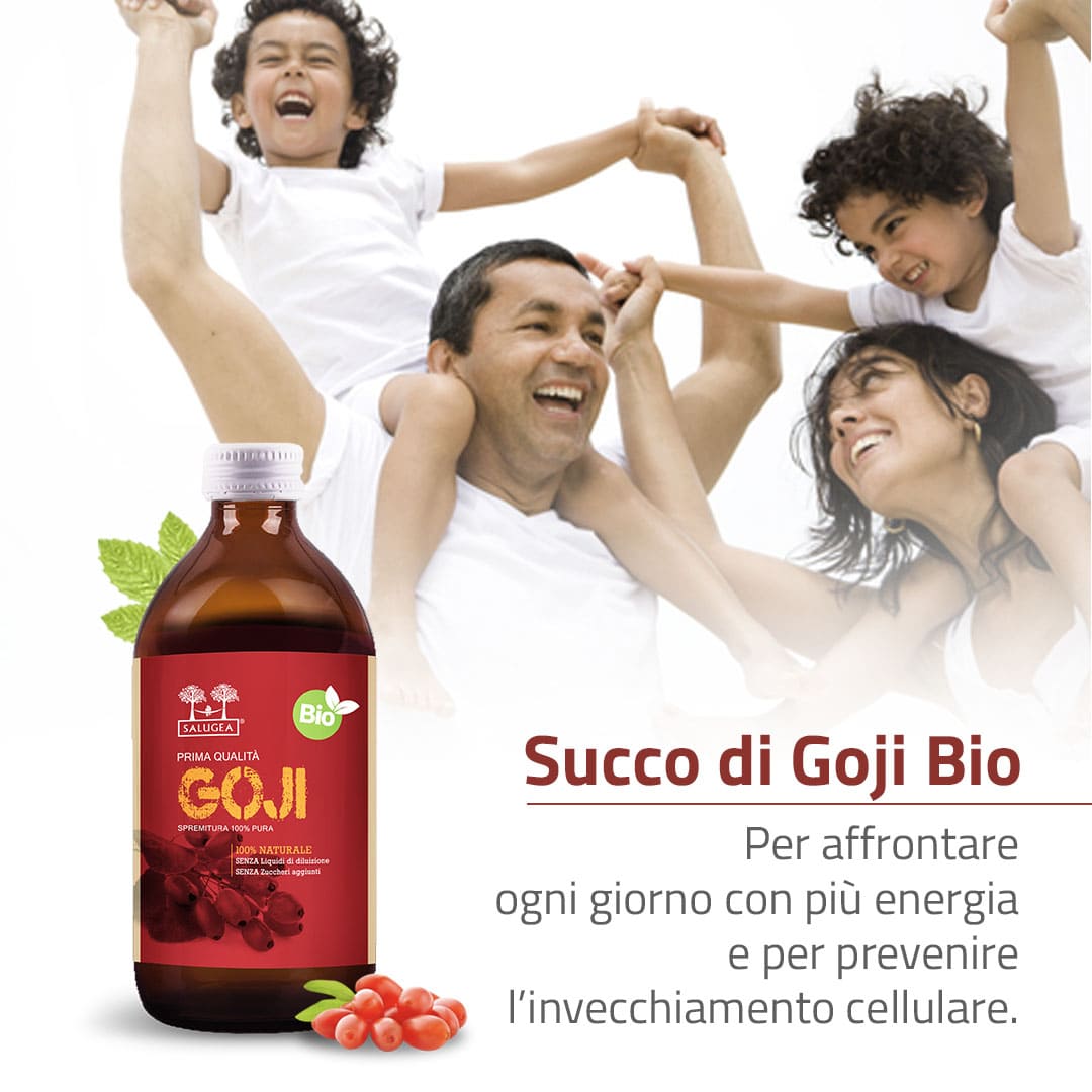 image - 982000655 - SALUGEA SUCCO GOJI BIO 500 ML - 4738124_7.jpg