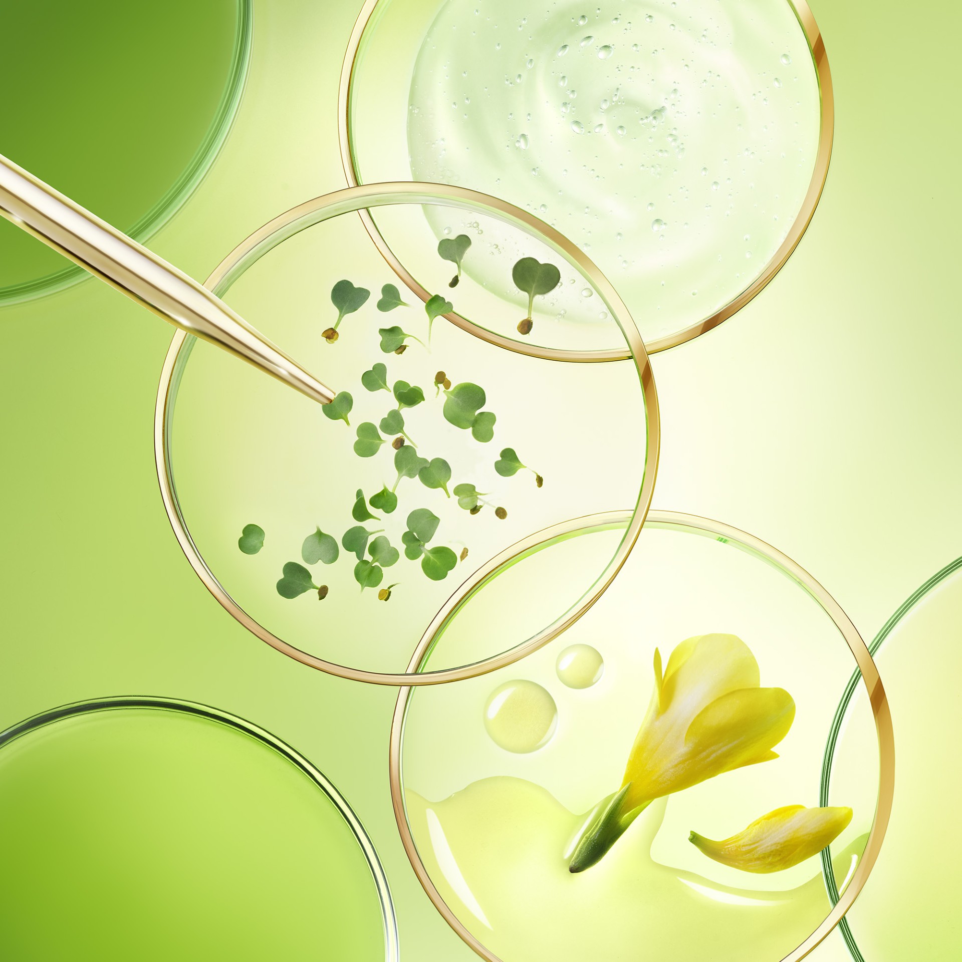 image - 987654454 - NUXE NUXURIANCE ULTRA CREMA RICCA ANTI ETA' GLOBALE 50 ML - 4747727_14.jpg