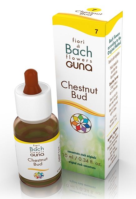 Fiori Bach Chestnut Bud Gocce 10ml