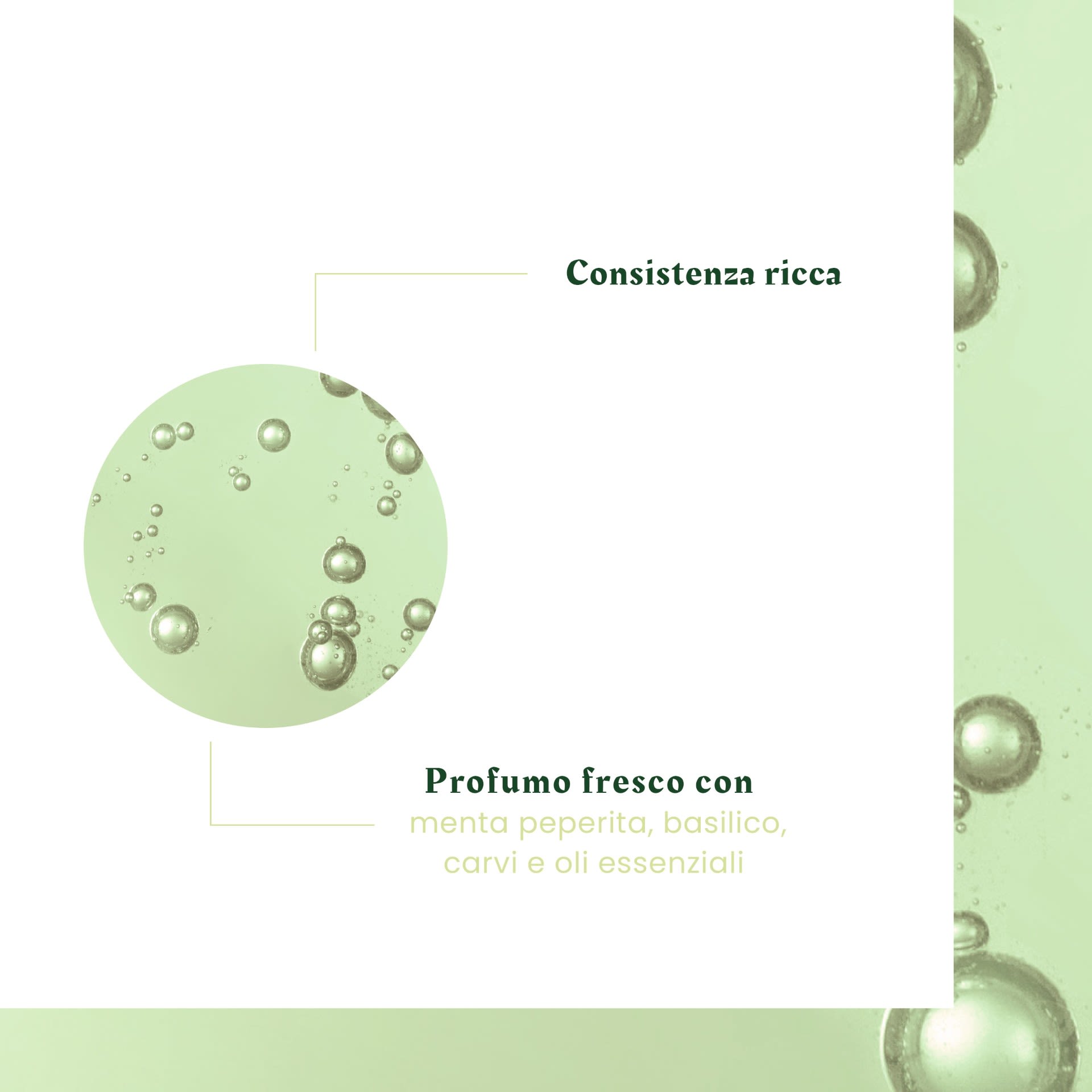 image - 983542883 - RENE FURTERER NATURIA SHAMPOO 400 ML - 4709302_4.jpg