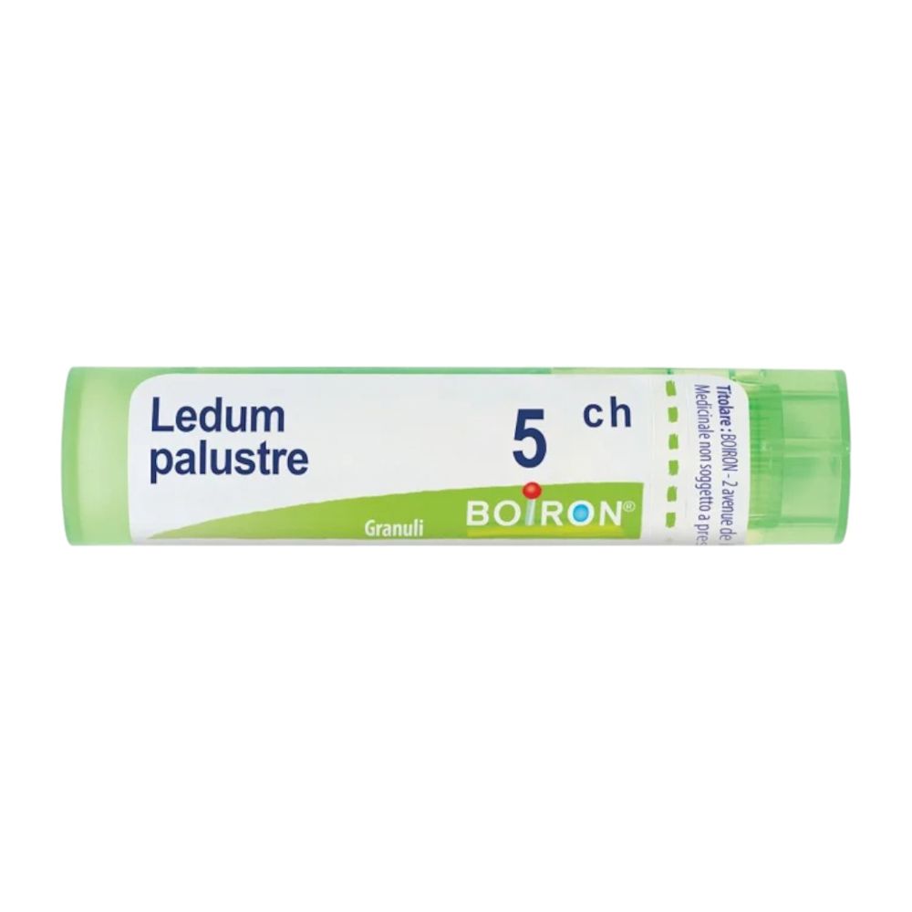 050835040 - LEDUM PALUSTRE (BOIRON)*80 granuli 5 CH contenitore multidose 4G - 4862593_1.jpg