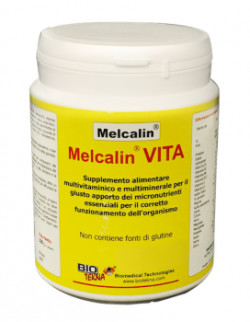 904013000 - Melcalin Vita 320 Grammi - 7890200_2.jpg