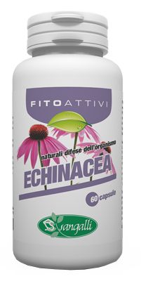 Fitoattivi Echinacea Integratore 60 Capsule