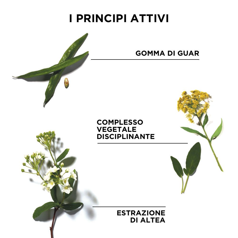 980924726 - Phyto Phytodefrisant Gel Brushing disciplinante capelli crespi 125ml - 4708018_3.jpg