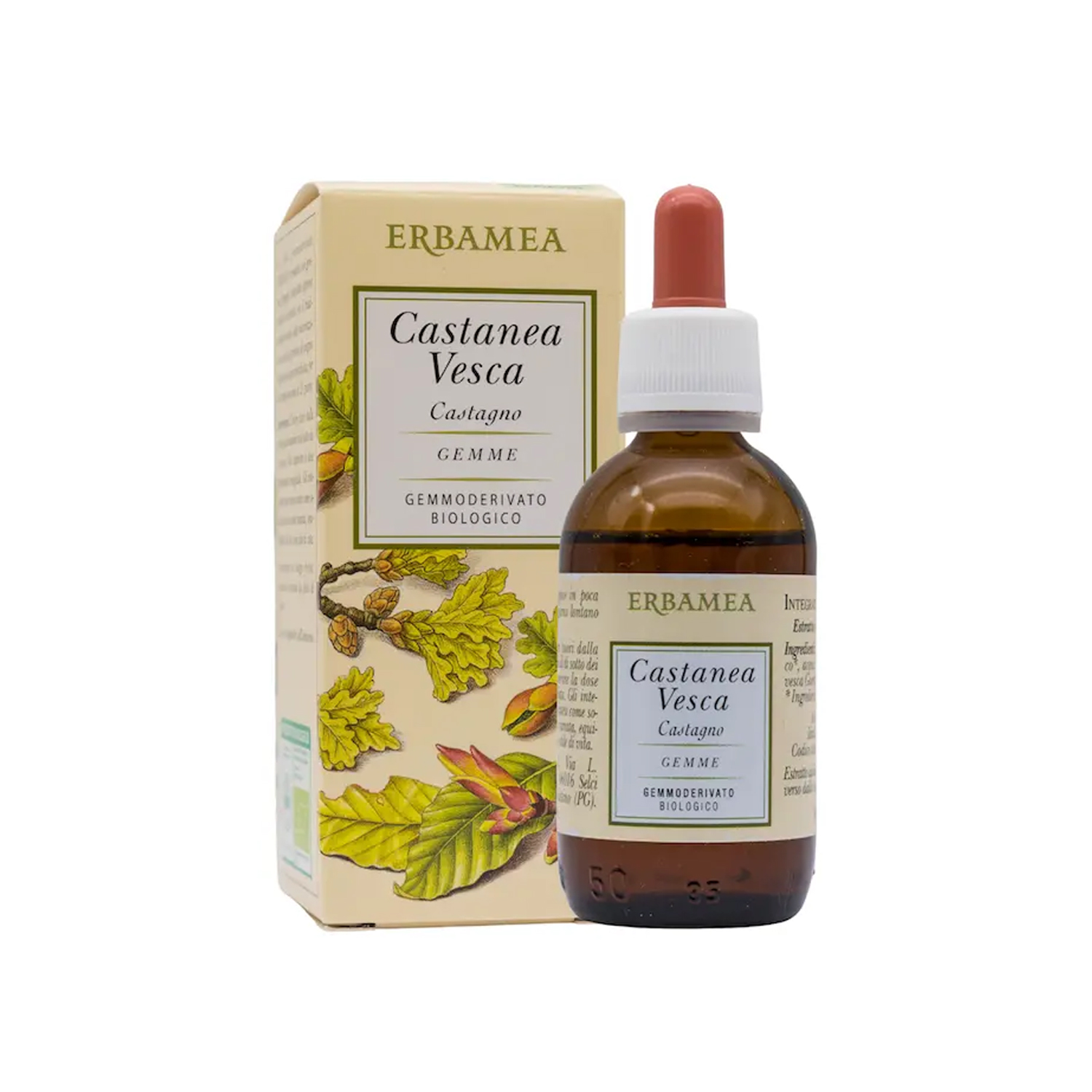 image - 921563262 - Integratore alimentare in gocce a base di gemme di castagno, utile per il benessere della circolazione e del cuore. - 4717728_2.jpg