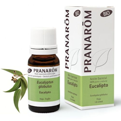 926848084 - Pranarom Olio Essenziale Bio Eucalipto 10ml - 4721136_1.jpg