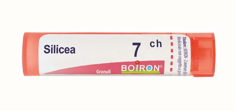 800025001 - Boiron Silicea 7ch Granuli - 7881028_1.jpg
