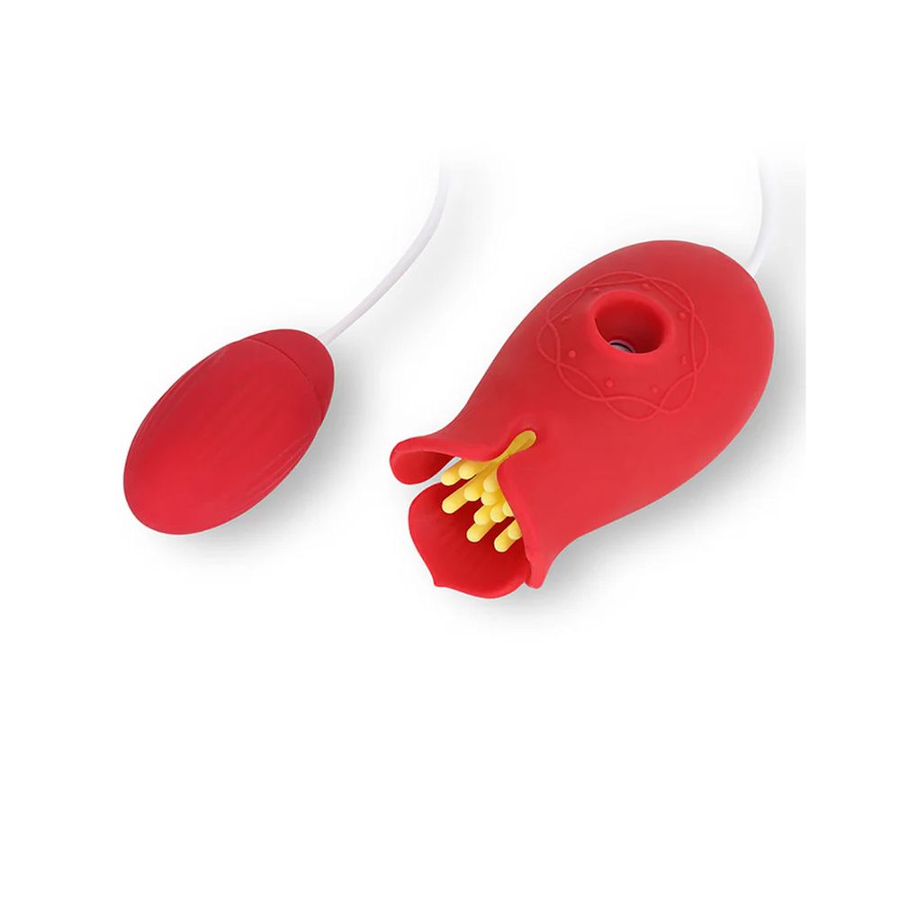 987318944 - AMMICCO AFRODITE - 4766429_1.jpg