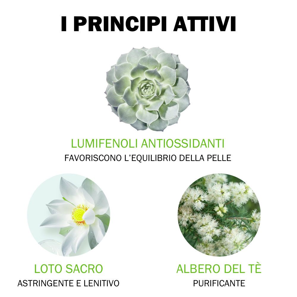 980380582 - Jowaé Gel purificante anti imperfezioni viso 40ml - 4736180_4.jpg