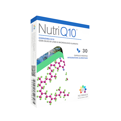 922197621 - NUTRIQ10 30 CAPSULE - 7873283_1.png