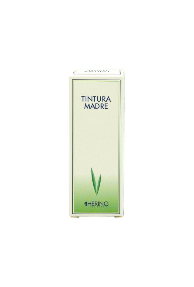 Curcuma Tintura Madre 30ml