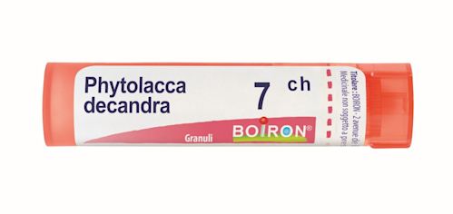 045879069 - Boiron Phytolacca Decandra 7ch 80 granuli contenitore multidose - 0000899_1.jpg