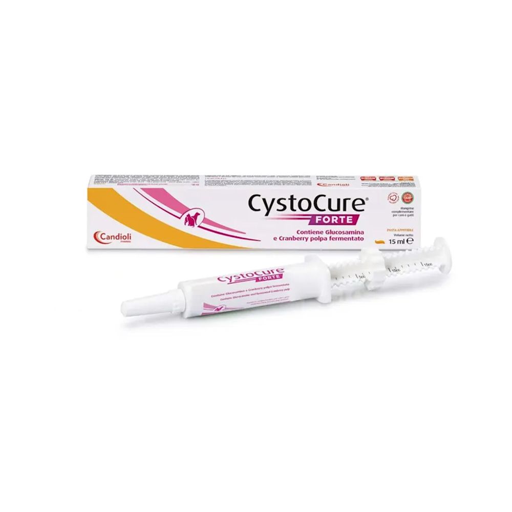 984325908 - CYSTOCURE FORTE PASTA 15 ML - 0006607_1.jpg