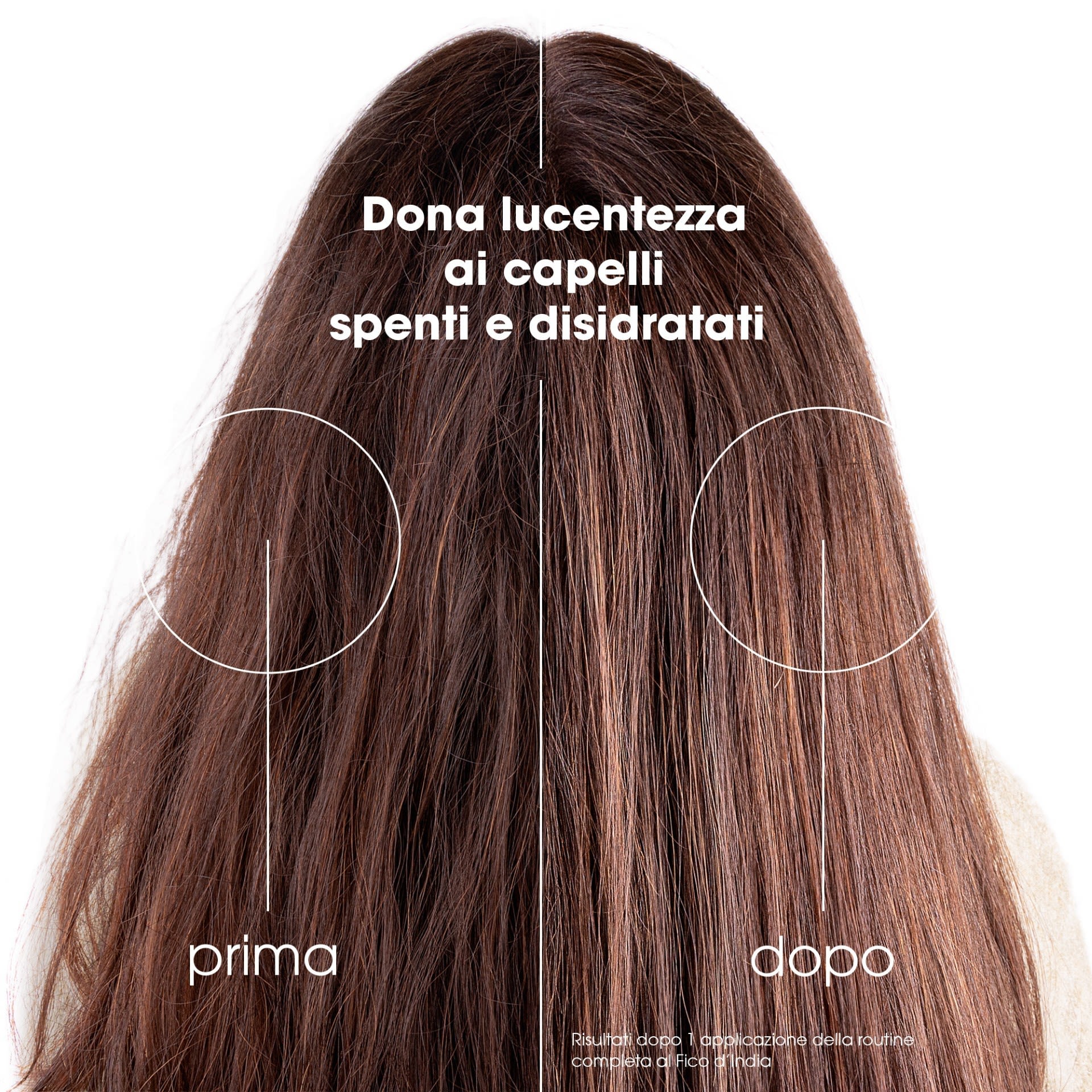 image - 987964689 - KLORANE SHAMPOO FICO D'INDIA 200 ML - 4779105_8.jpg