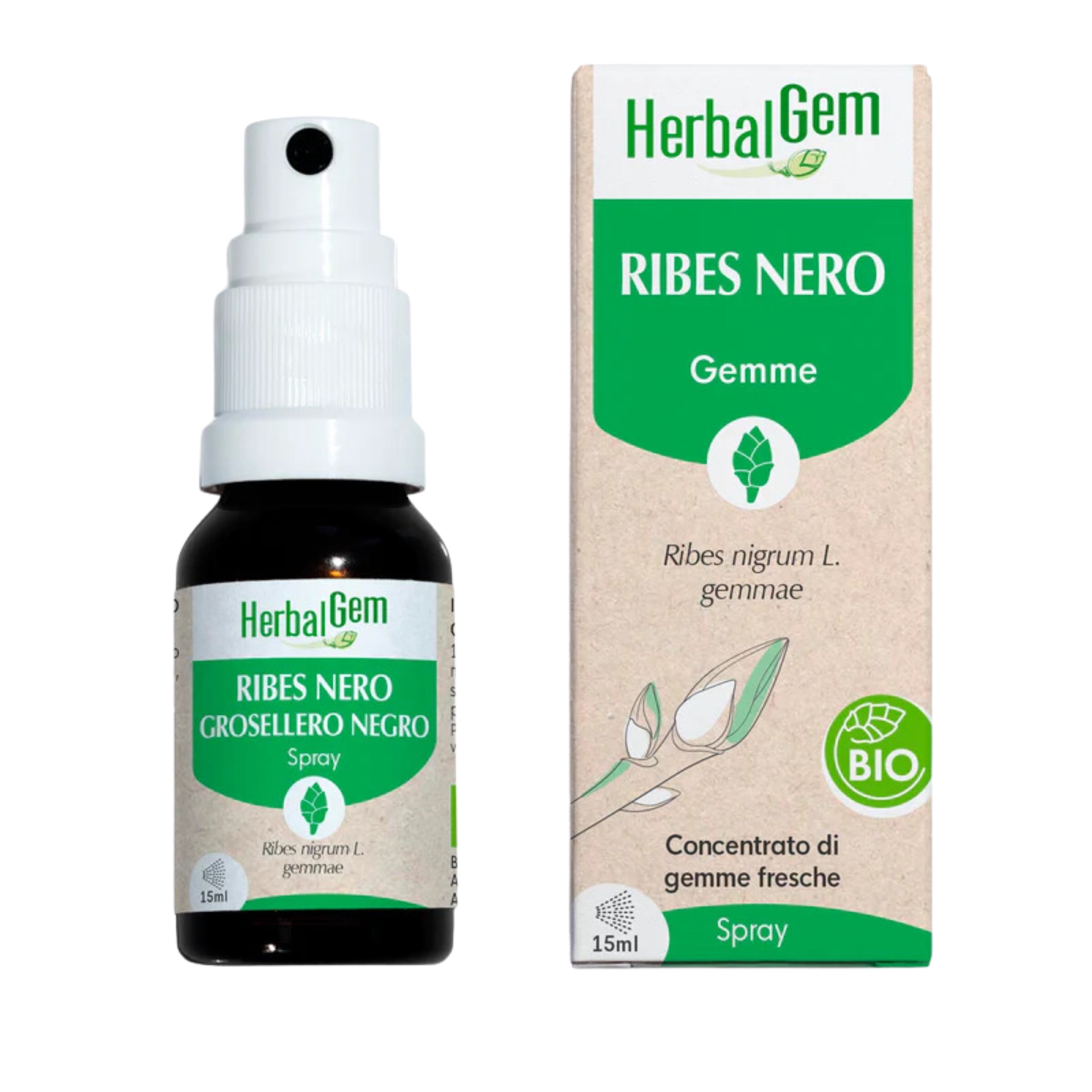 988752200 - HERBALGEM RIBES NERO GEMMODERIVATO CONCENTRATO BIO 30 ML - 4823665_1.jpg