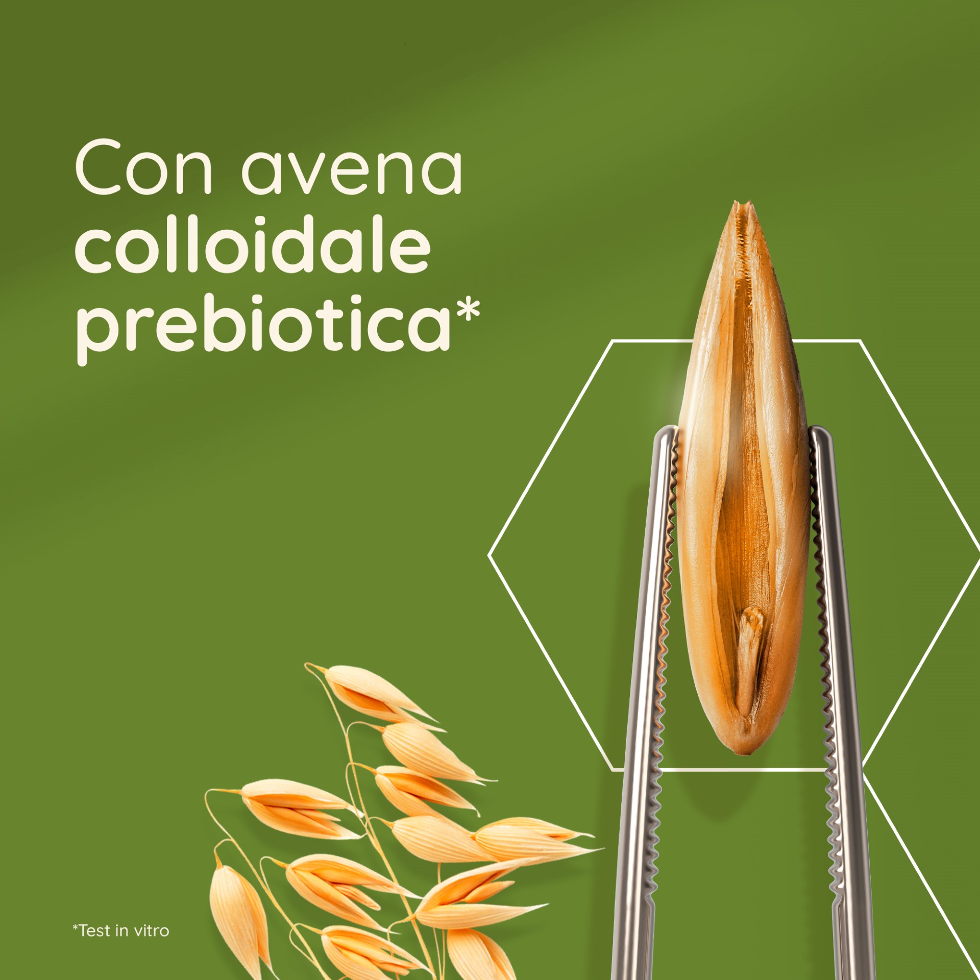 image - 976401354 -  - 4744275_5.jpg