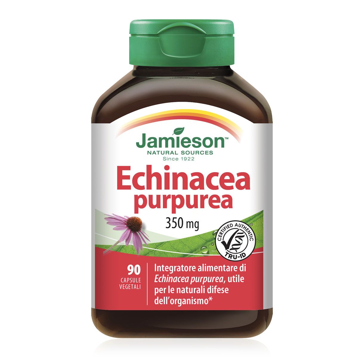 Jamieson Echinacea Purpurea 90 Compresse