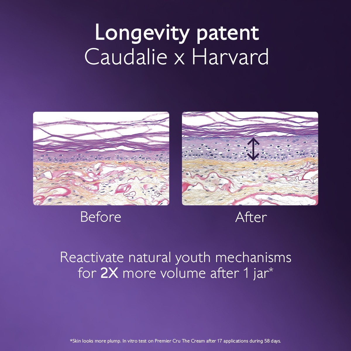 image - 989894516 - PREMIER CRU LA CREMA RICARICA 50 ML - 4805433_13.jpg