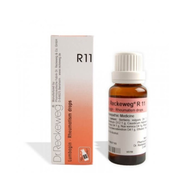 Reckeweg R11 22ml