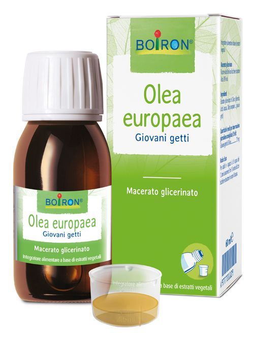 Boiron Olea Europaea Macerato Glicerico 60ml