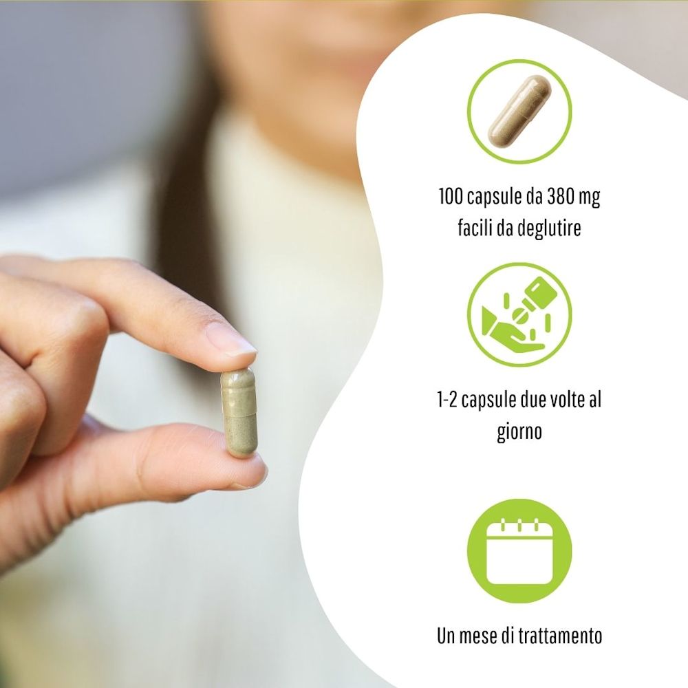 902193212 - GINKGO BILOBA 100 CAPSULE 380 MG - 4713519_9.jpg