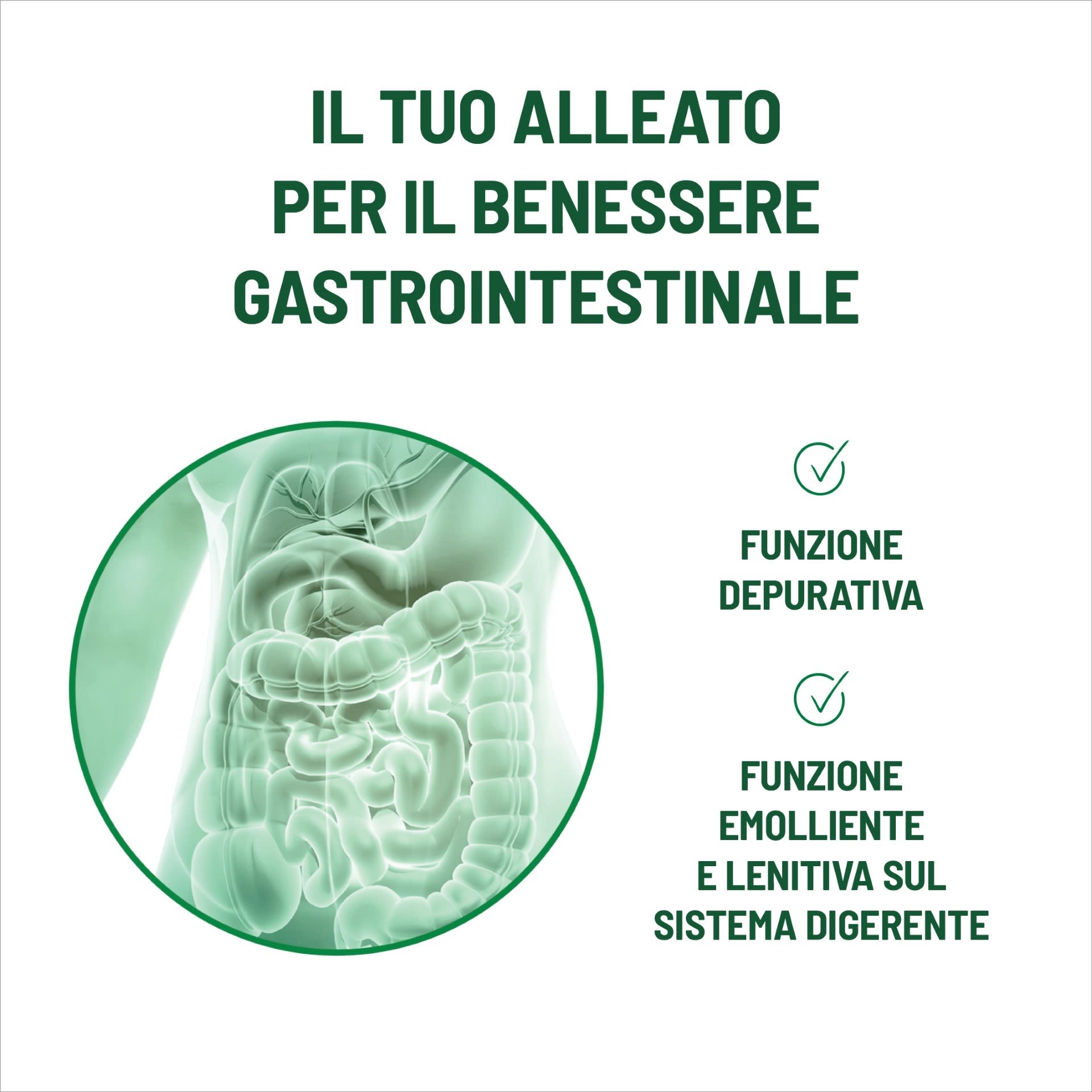 image - 988569455 - EQUILIBRA ALOE DETOX ZERO 10 STICK - 4797408_4.jpg