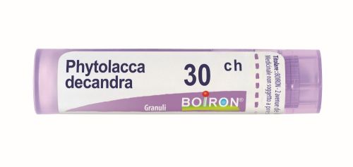 045879297 - Boiron Phytolacca Decandra 30ch 80 granuli contenitore multidose - 0000902_1.jpg