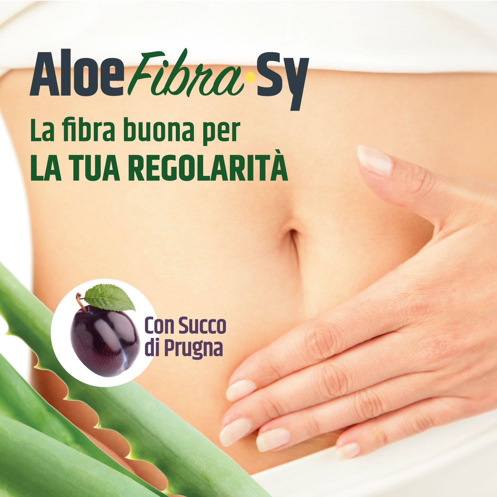 935904211 - Aloe Fibra Sy 14 stick - 4724028_3.jpg