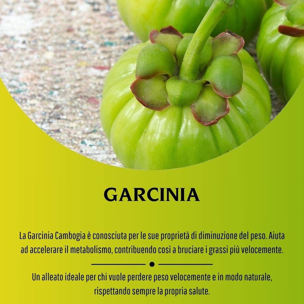 902193200 - GARCINIA 100 CAPSULE 430MG - 4713518_7.jpg