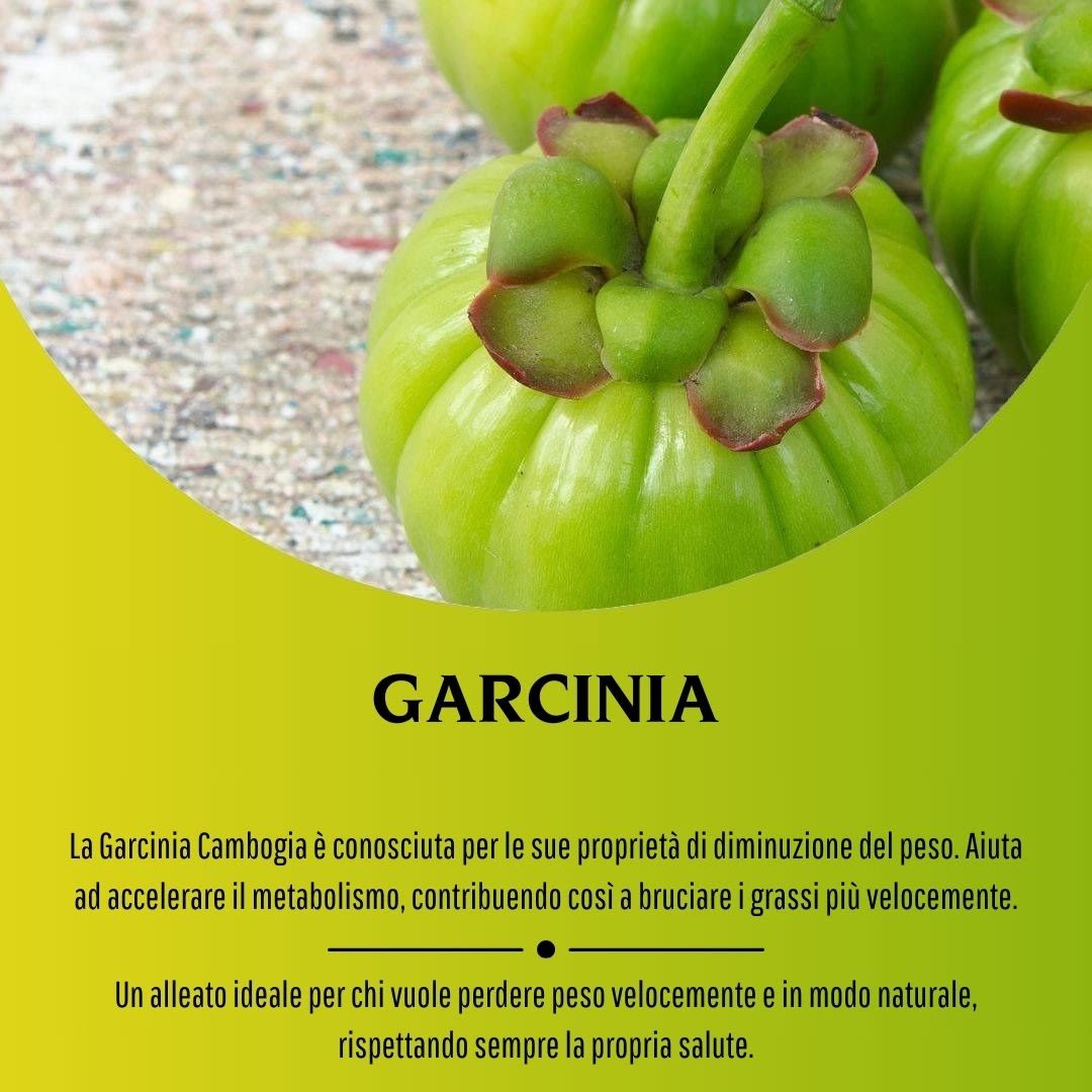 image - 902193200 - GARCINIA 100 CAPSULE 430MG - 4713518_7.jpg