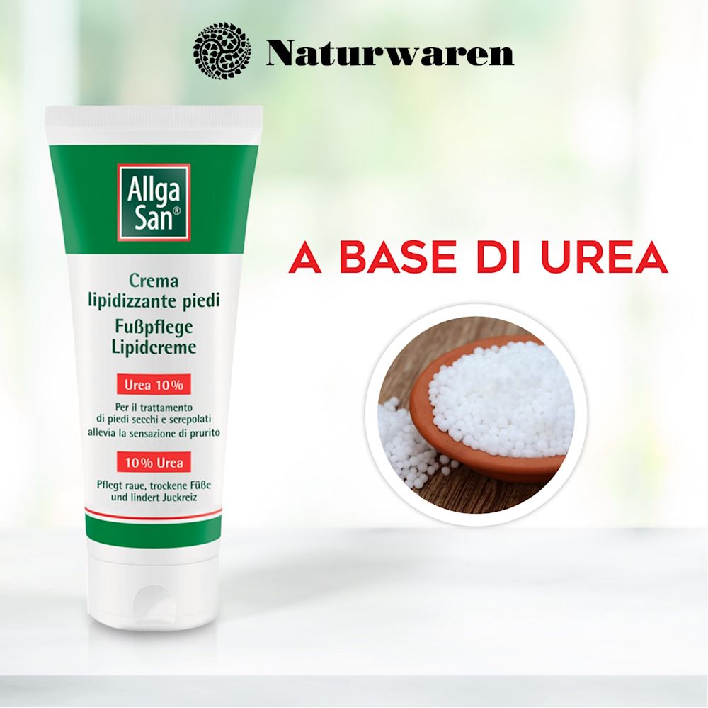 905039931 - ALLGASAN CREMA LIPIDIZZANTE PIEDI 100 ML - 7891468_4.jpg