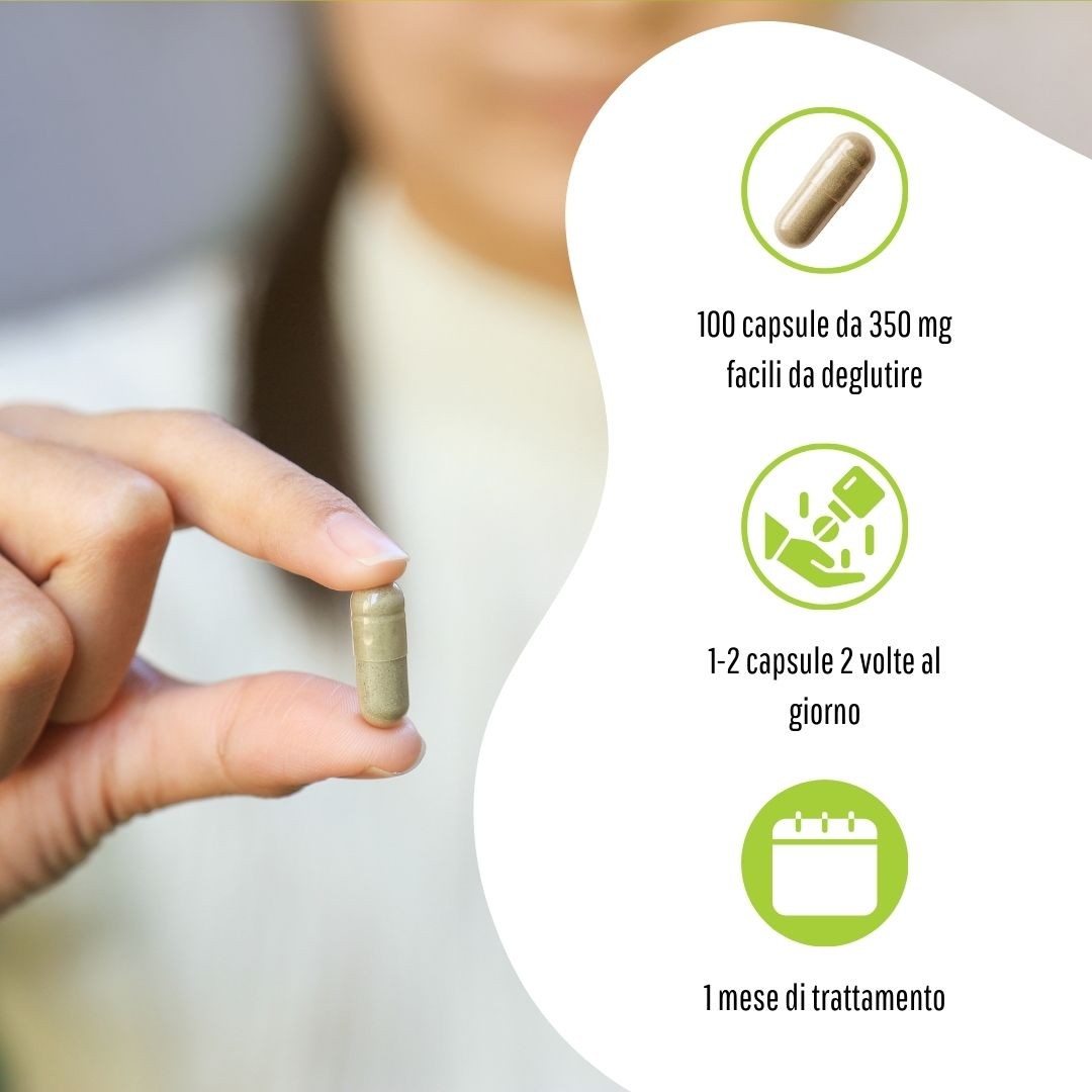 image - 902193123 - EQUISETO 100 CAPSULE 380MG - 4713517_8.jpg