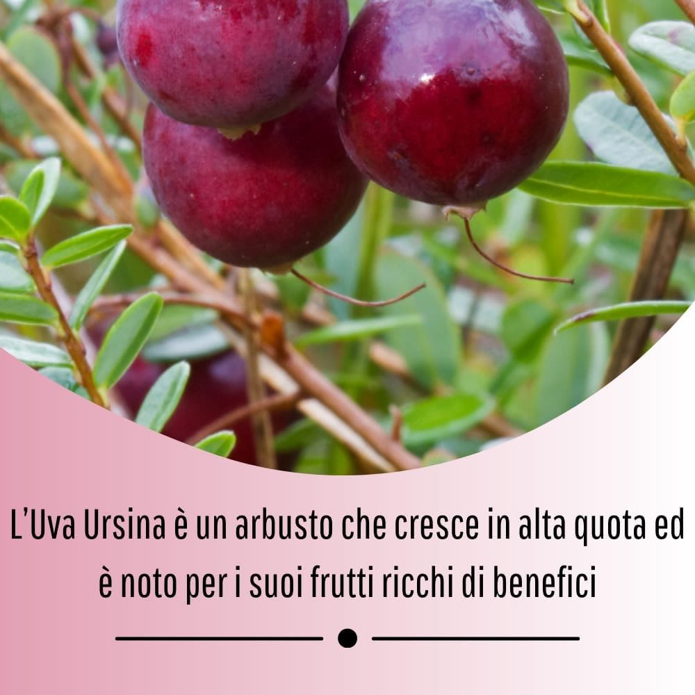 902193933 - UVA URSINA 100 CAPSULE 430MG - 4713529_5.jpg